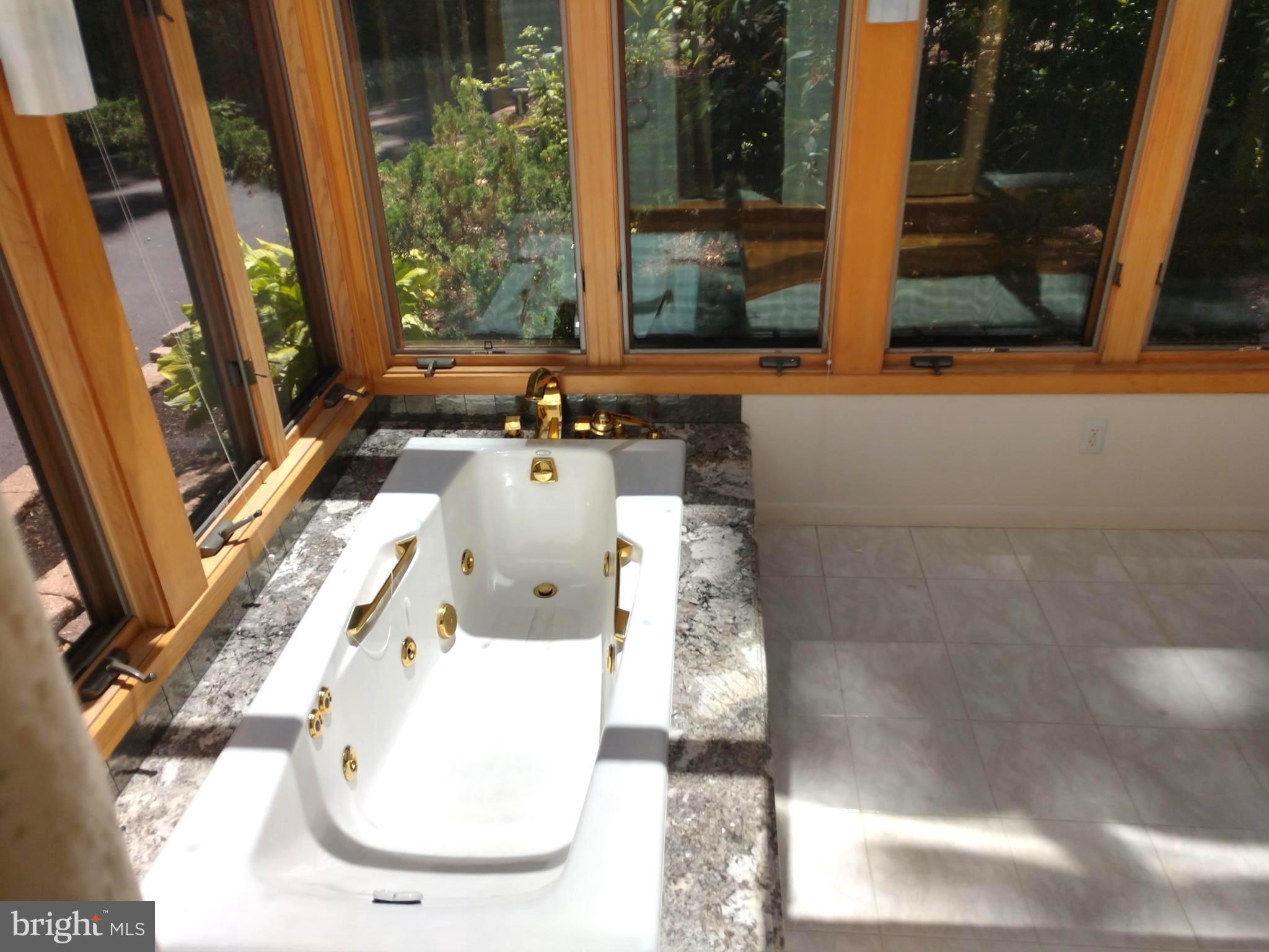323 Mt Penn Road Reading, PA 19607 - Photo 15 of 75 Granite surround and jetted tub in Sunroom