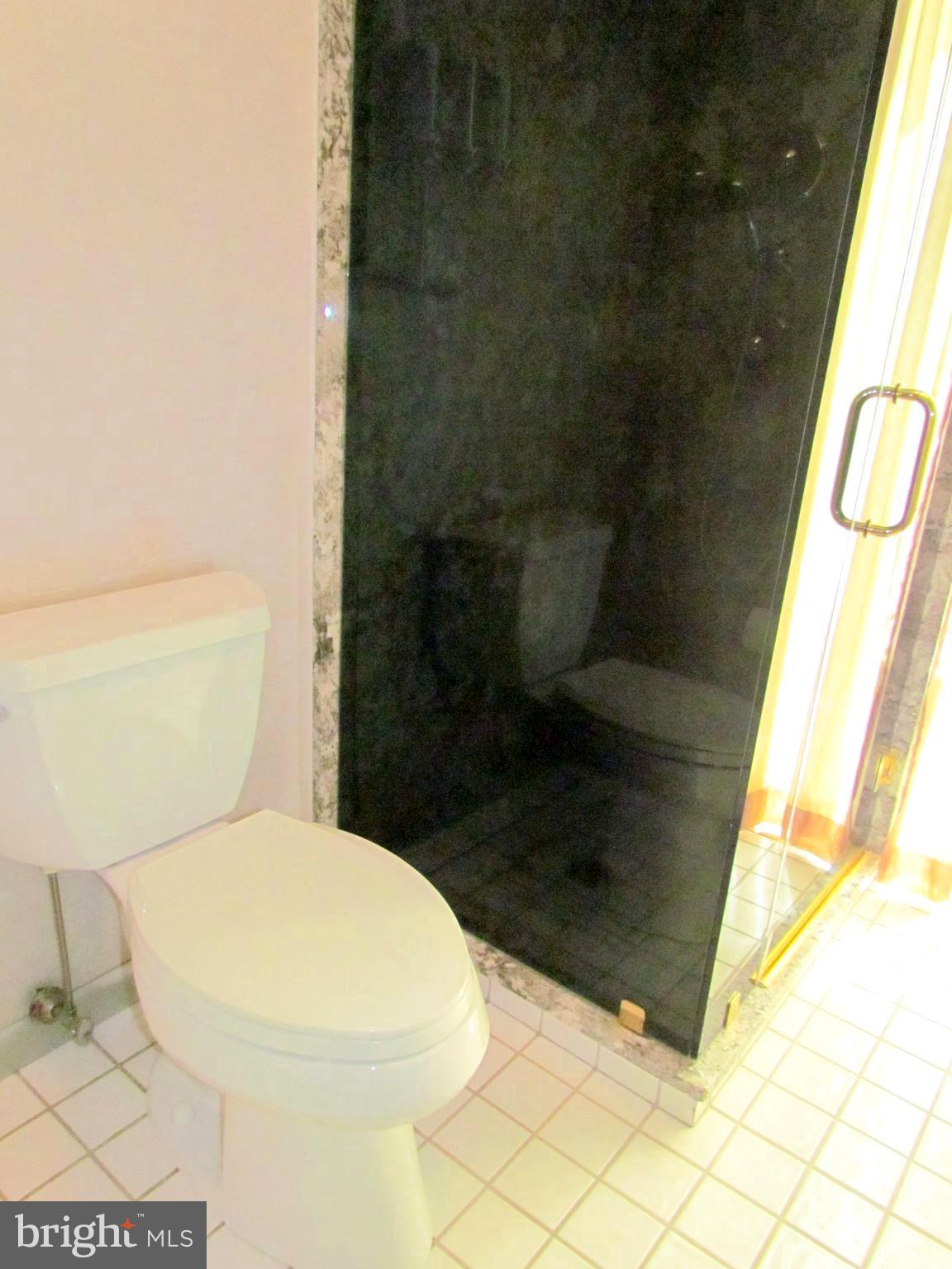 323 Mt Penn Road Reading, PA 19607 - Photo 19 of 75 Master Bath - separated Comode and Granit shower.