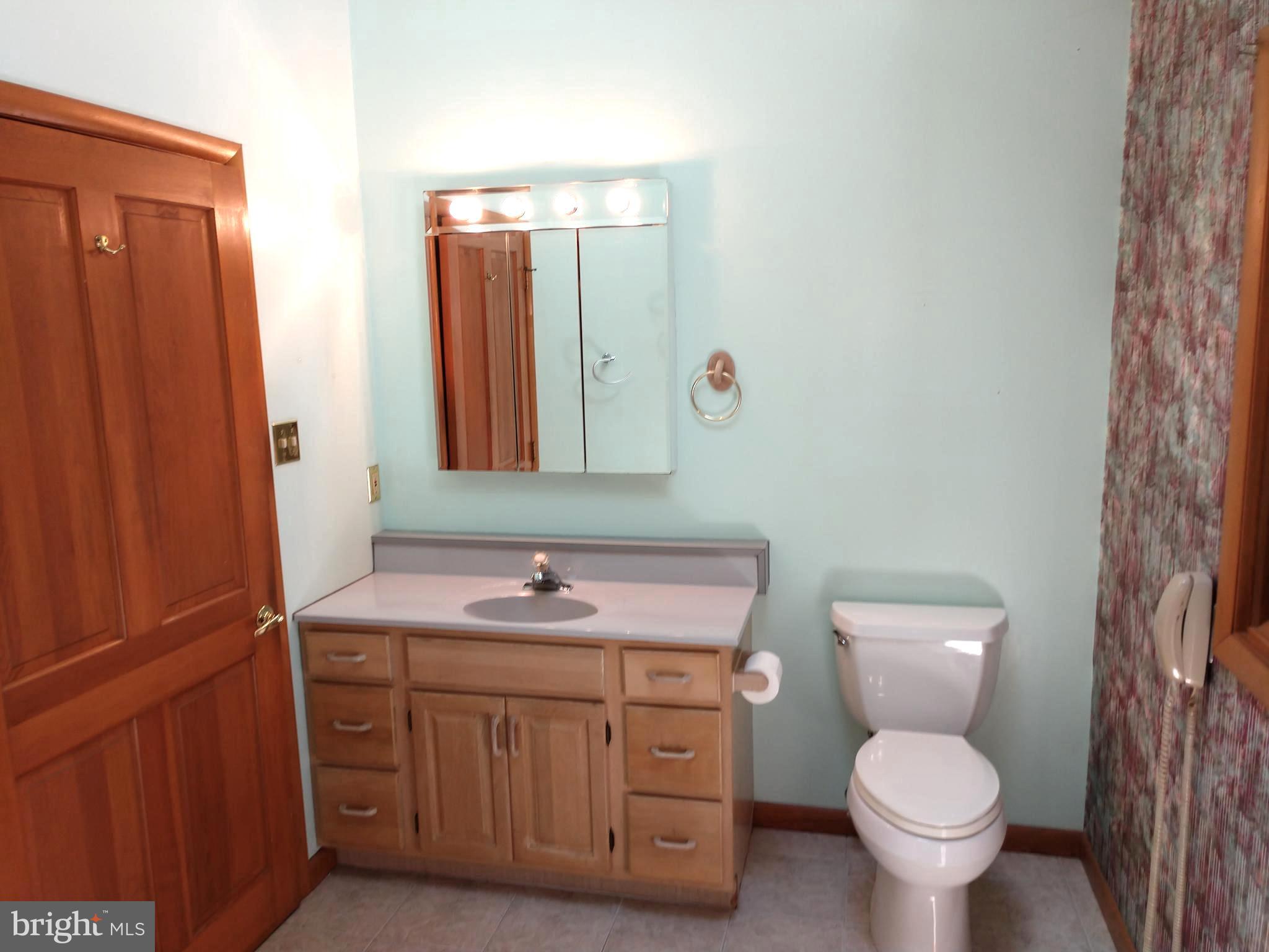 323 Mt Penn Road Reading, PA 19607 - Photo 30 of 75 In Law suite - Bath with Vaulted Ceiling