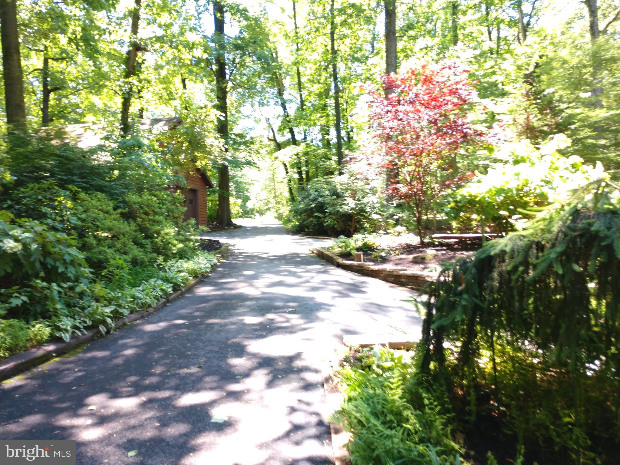 323 Mt Penn Road Reading, PA 19607 - Photo 59 of 75 VIew up driveway to detached 2 car garage.
