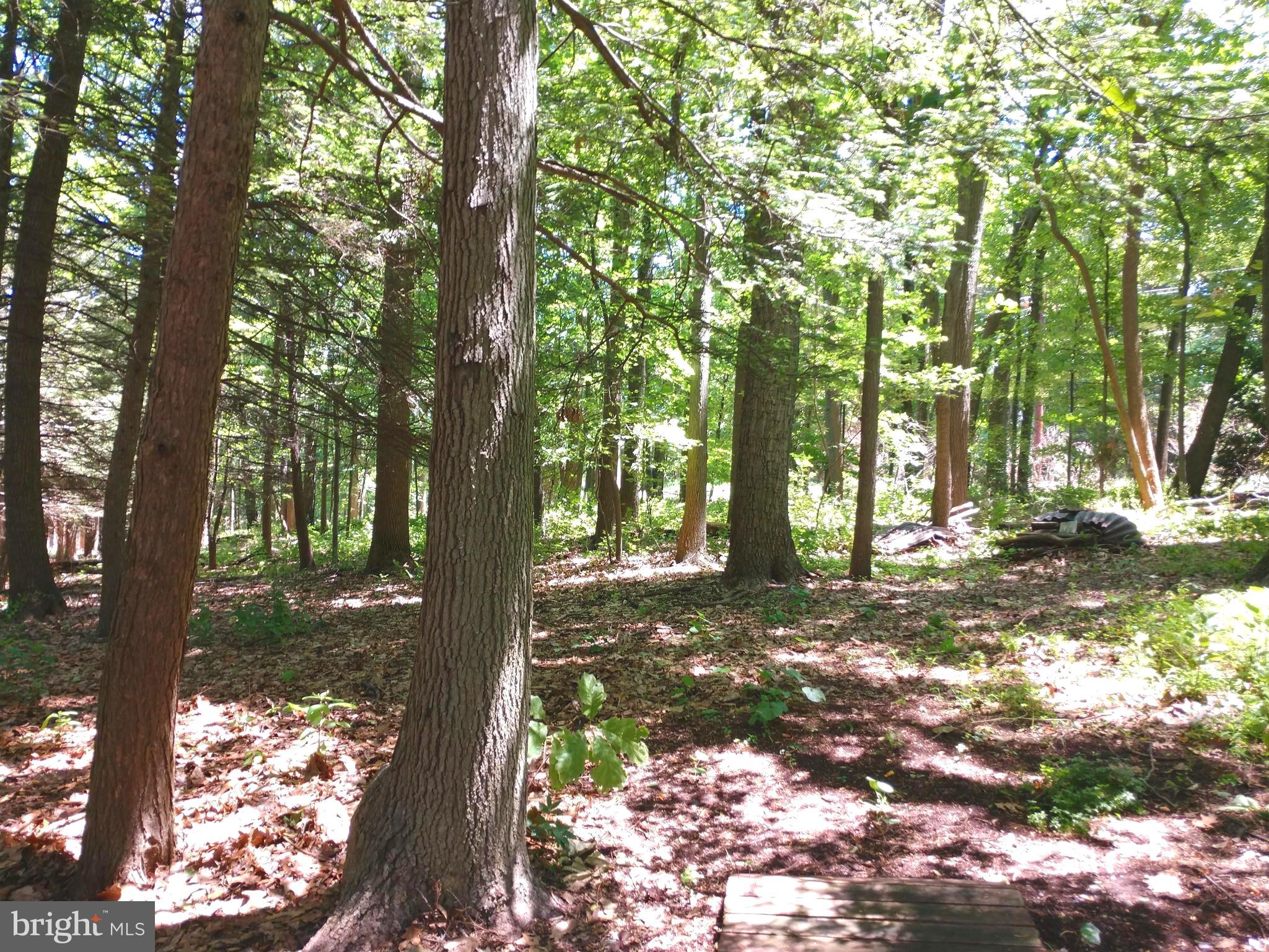 323 Mt Penn Road Reading, PA 19607 - Photo 63 of 75 East Yard