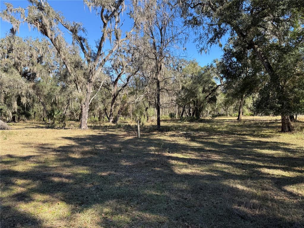 18630 Bradshaw Road Dade City, FL 33523 - Photo 20 of 43 a view of road with trees