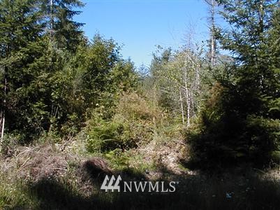 111111 Lot 7b Probert Road Shelton, WA 98584 - Photo 1 of 1 Gallery Image 1