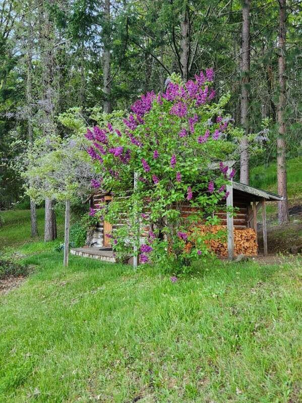 11750 Hillcrest Road Medford, OR 97504 - Photo 17 of 61 unnamed (1)