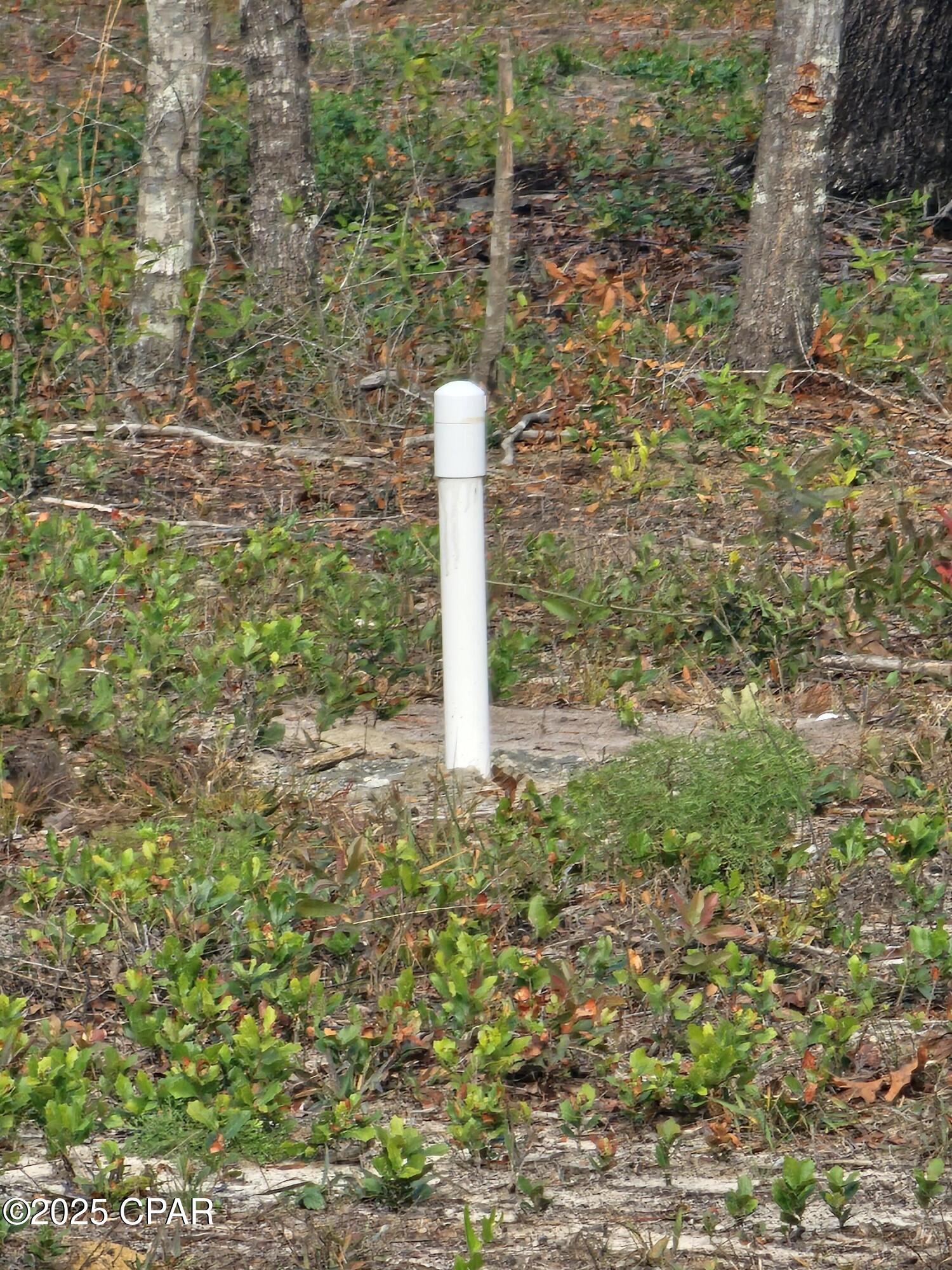 10433 Western Road Fountain, FL 32438 - Photo 3 of 11