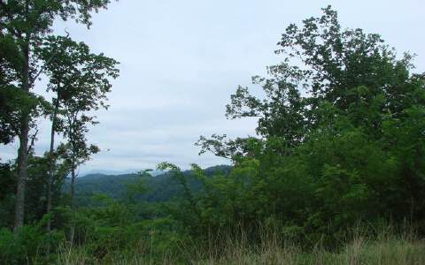 20 Lot 20 Spring View Murphy, NC 28906 - Photo 1 of 1 Main View
