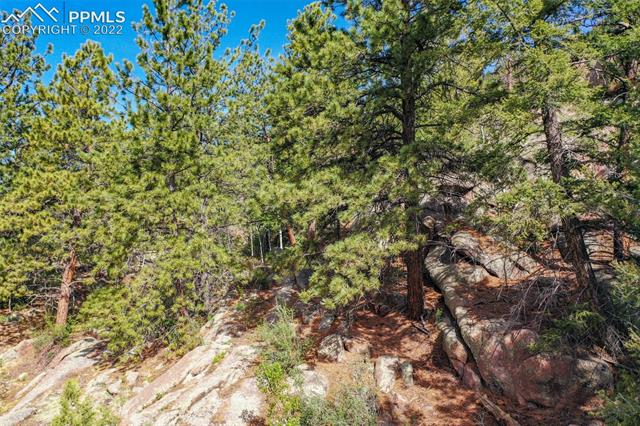 339 Chipper Road Guffey, CO 80820 - Photo 14 of 34 Gallery Image 14