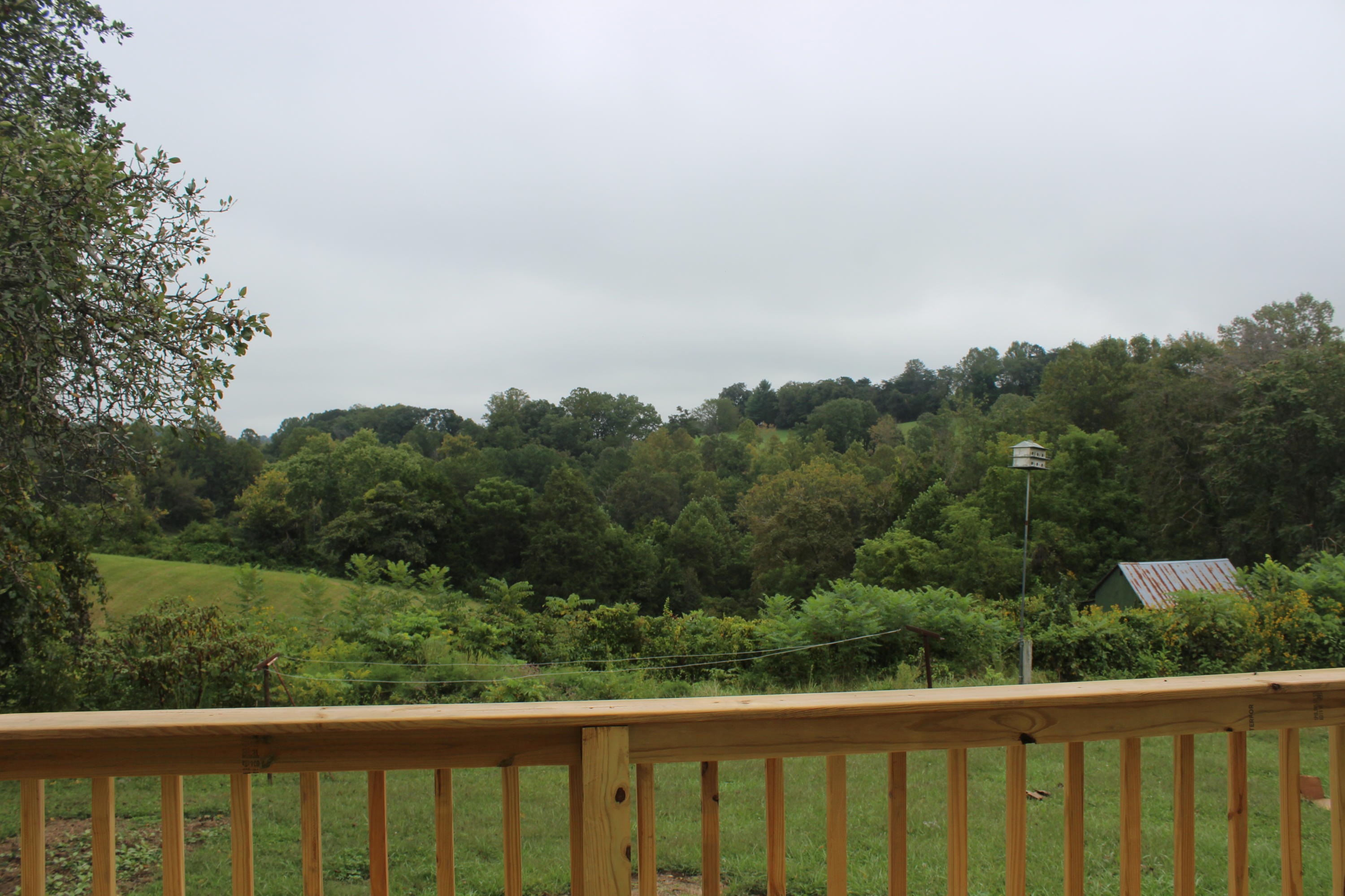 209 Pleasant Ridge Road La Follette, TN 37766 - Photo 8 of 23 IMG_1160