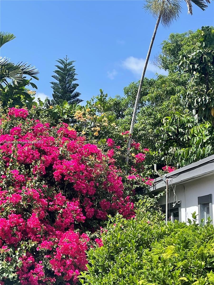 Keystone Point North Miami, FL 33181 - Photo 3 of 14 a view of a flower arrangement in a flower room