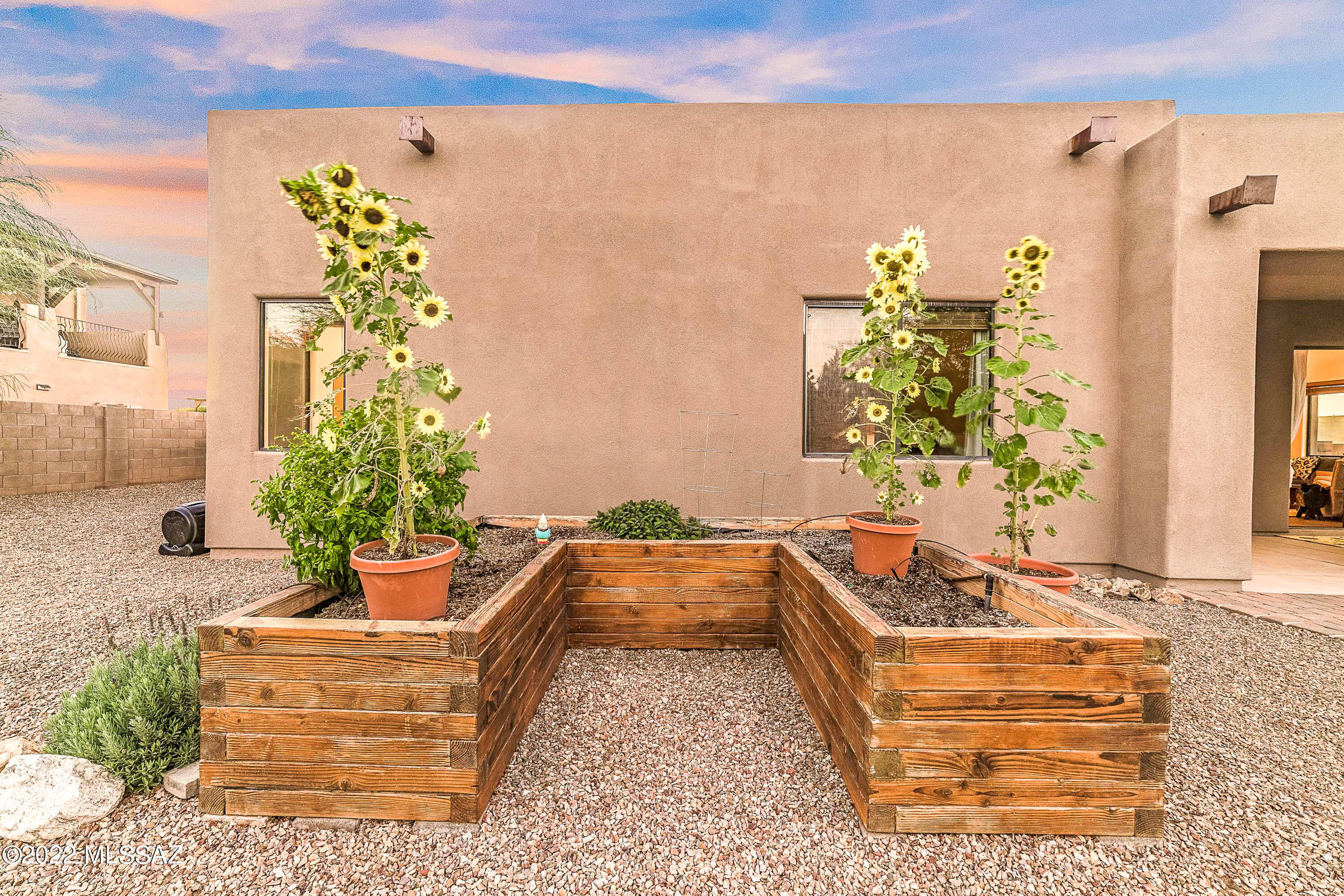 9366 South Via Famero Vail, AZ 85641 - Photo 35 of 50
