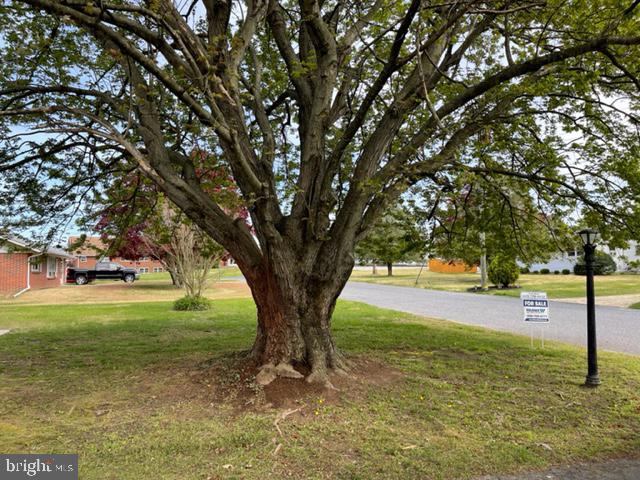 3 Stanger Road Bridgeton, NJ 08302 - Photo 28 of 35