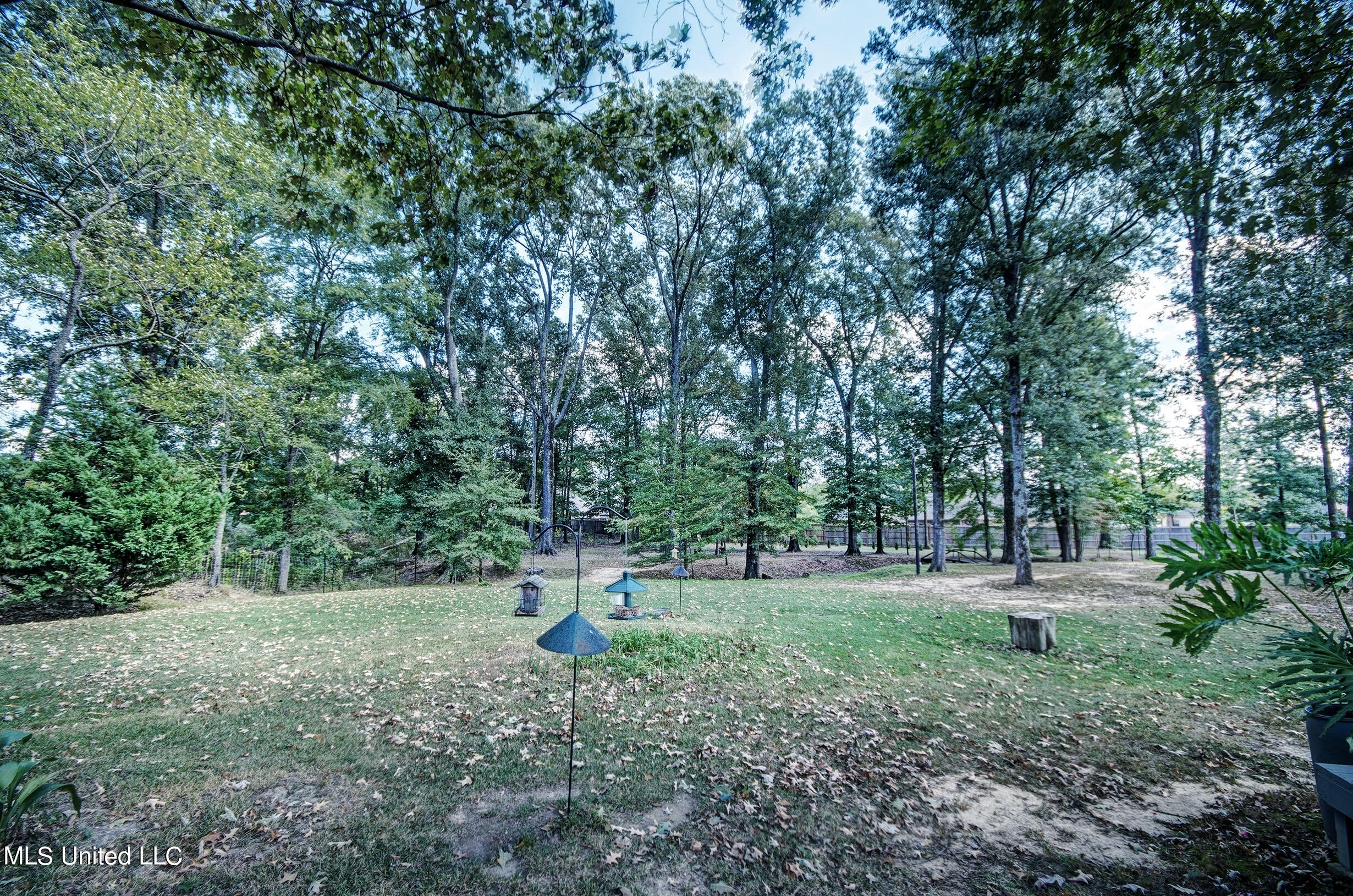 176 Catlett Road Madison, MS 39110 - Photo 56 of 63 IMGP6449_50_51