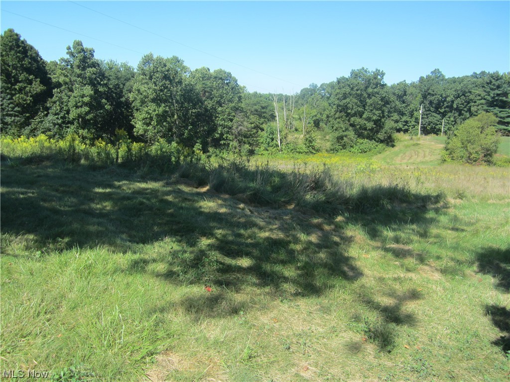 2191 Hoover Road Waterford, OH 45786 - Photo 10 of 30 View of nature