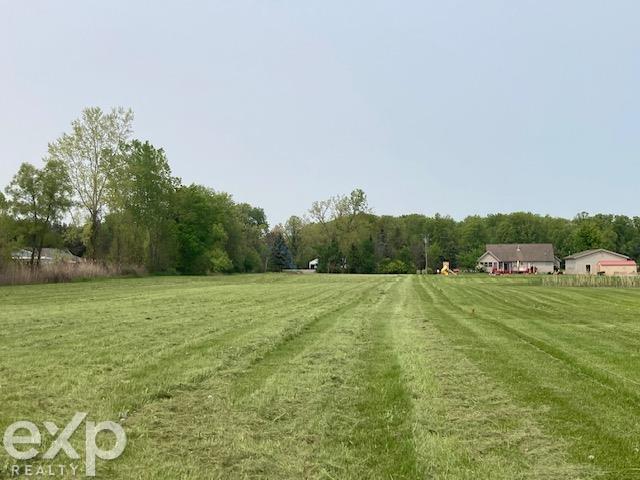 0 Walker Road North Street, MI 48049 - Photo 9 of 17