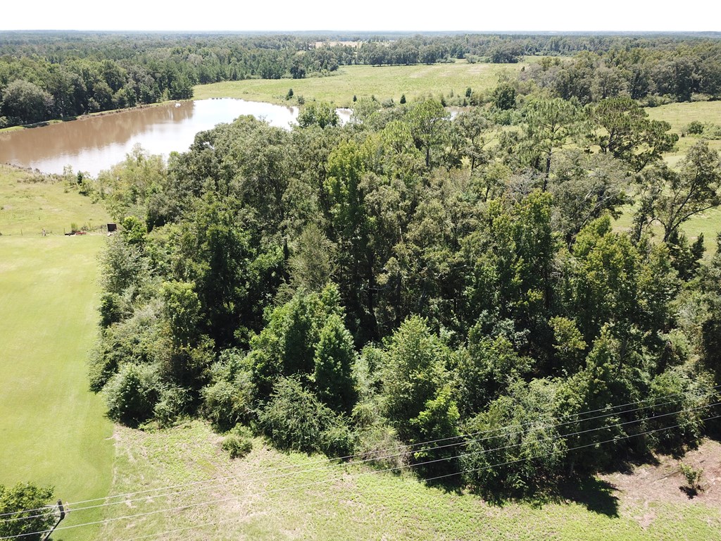 33 Rehobeth Al Dothan, AL 36303 - Photo 32 of 46