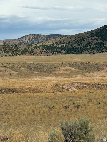 25 Old Dam Road, Unit 25 Levan, UT 84639 - Photo 2 of 10