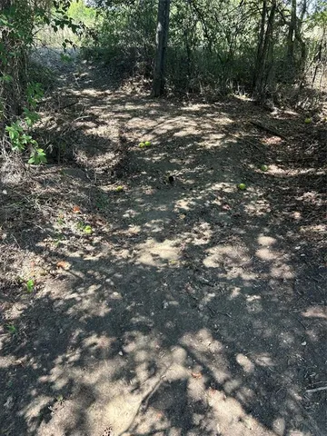 a view of a yard with plants and trees