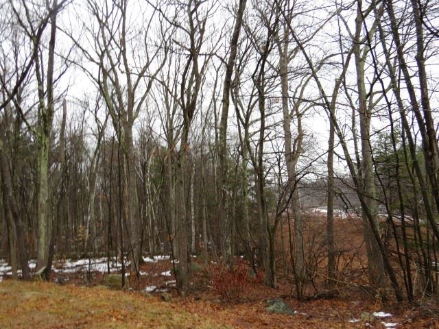 9 Garvin Road Derry, NH 03038 - Photo 23 of 25