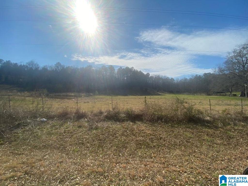 3154 Taylors Mill Road Talladega, AL 35160 - Photo 37 of 46