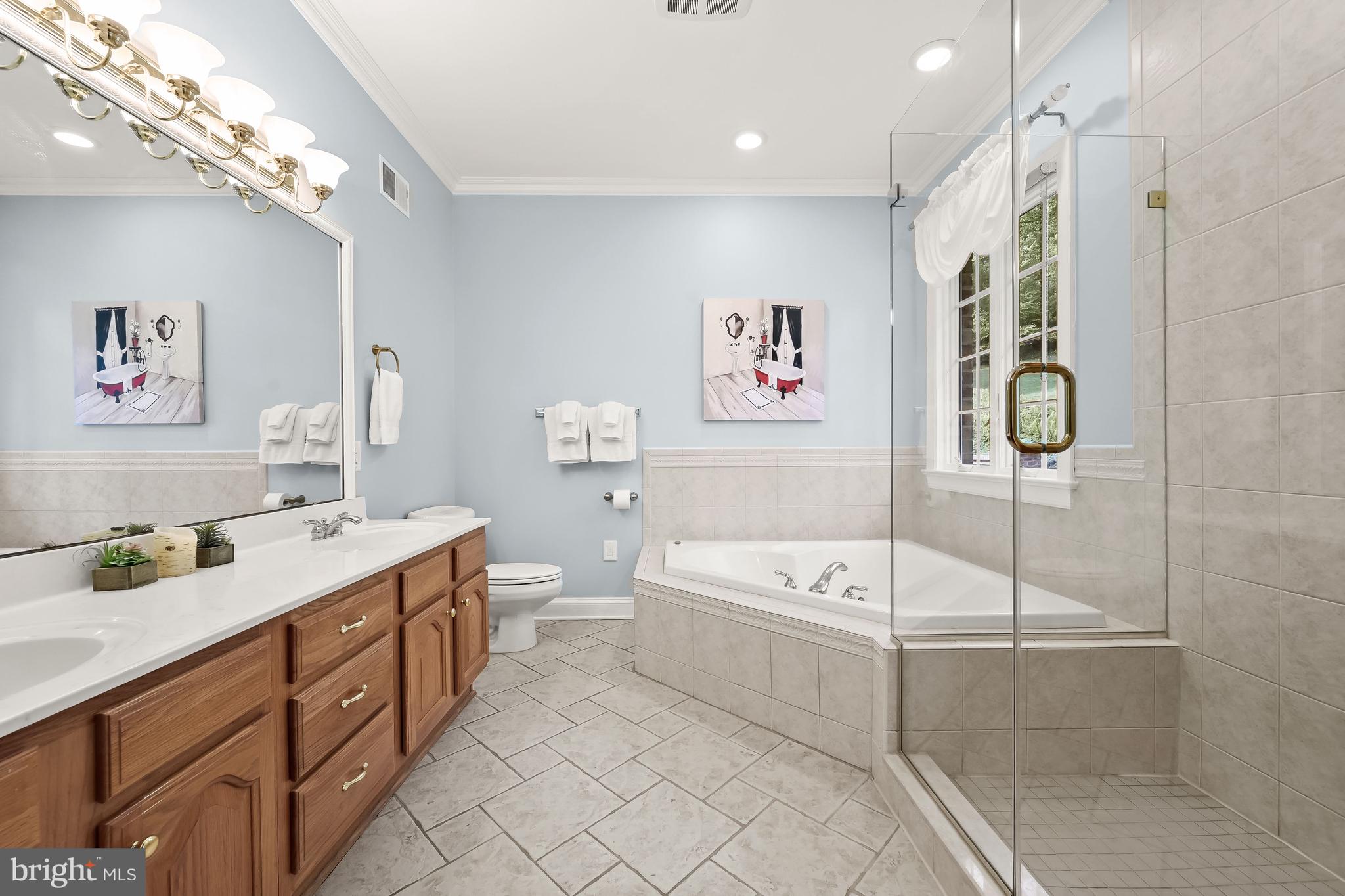 5245 Shookstown Road Frederick, MD 21702 - Photo 29 of 74 Soaking Tub | Glass Enclosed Shower