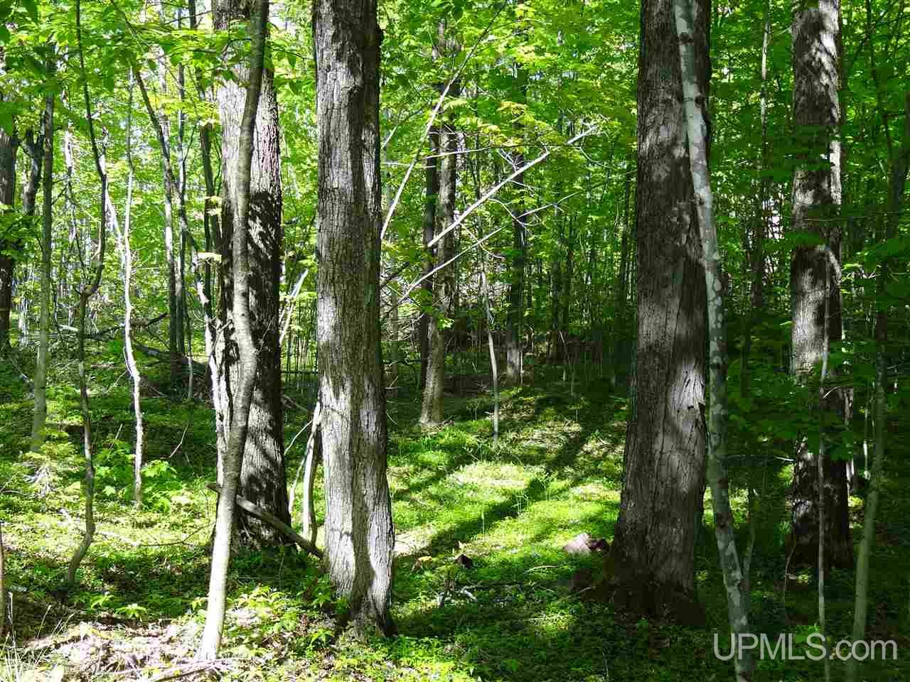 Tbd West Heinola Road Atlantic Mine, MI 49931 - Photo 6 of 17