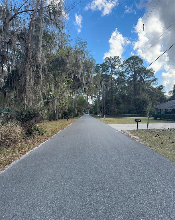 Cove Road Tavares, FL 32778 - Photo 6 of 16 a view of a road with a yard