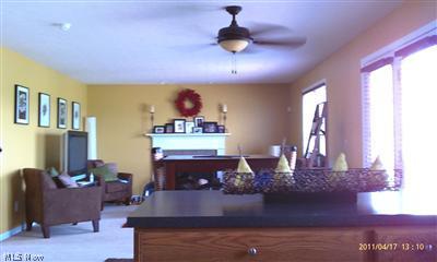 63 Bandy Road North Benton, OH 44449 - Photo 7 of 20 Viewing the great room from kitchen area. Woodburn fireplace.