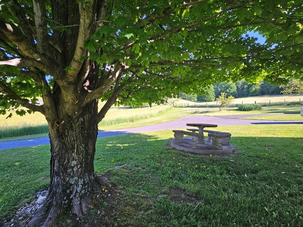 400 Gratton Road Tazewell, VA 24651 - Photo 37 of 40 Gallery Image 37