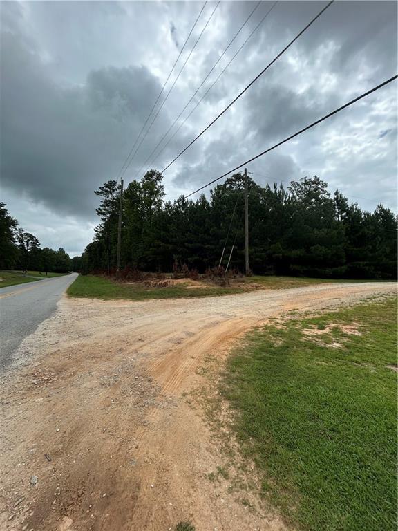 0 Clark Road Roanoke, AL 36274 - Photo 2 of 8 Unpaved lot featuring a mix of cleared land and mature trees