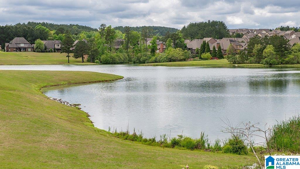 1344 Chelsea Pk Trail Chelsea, AL 35043 - Photo 6 of 8