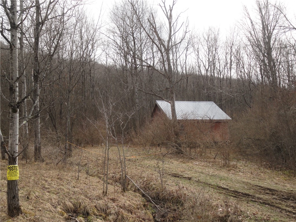 The shed is 24' x 24' built in 1985, metal roof an