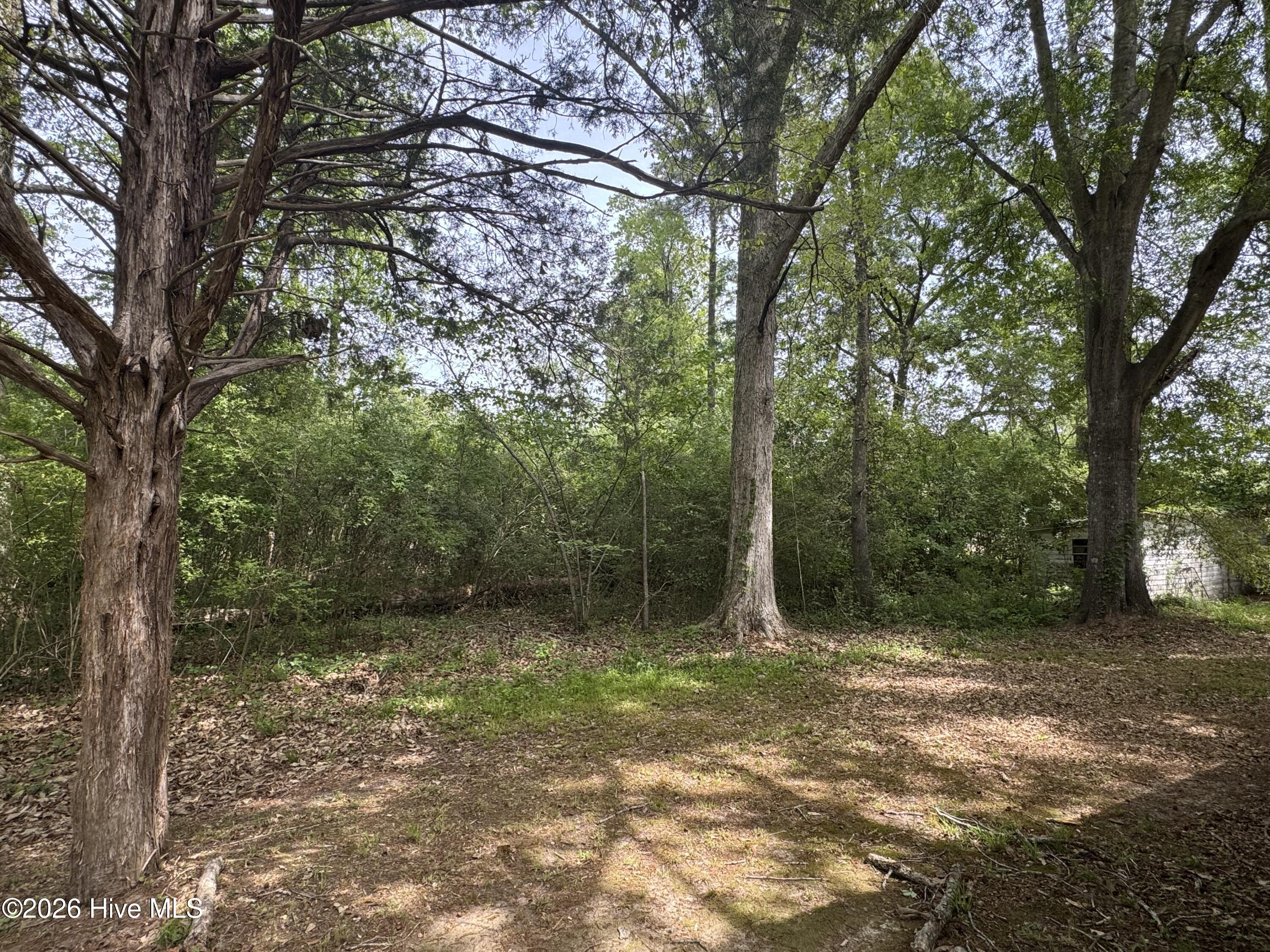 1644 Smyrna Road Whiteville, NC 28472 - Photo 16 of 17 Backyard and Additional Parcel