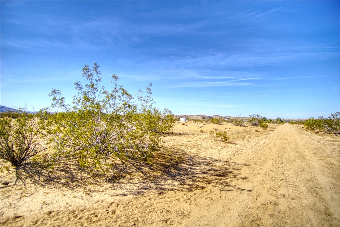 64533 3rd Street Joshua Tree, CA 92252 - Photo 3 of 3