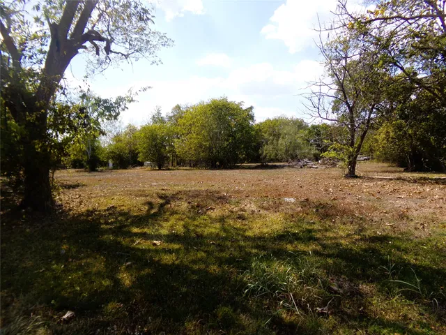 a view of a field with a tree