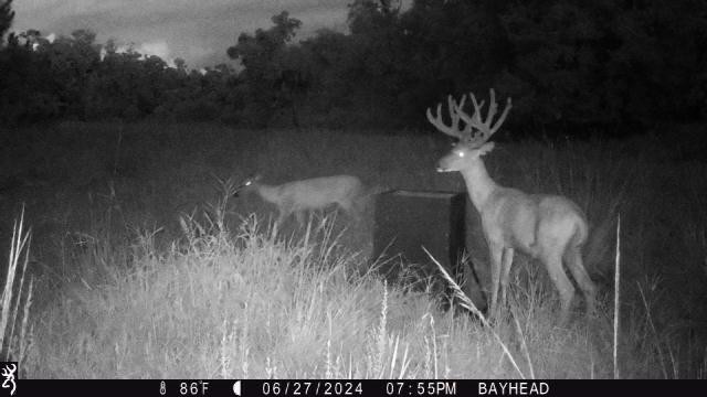 545 New Boot Heel Road Venus, FL 33960 - Photo 16 of 22 Photo 17