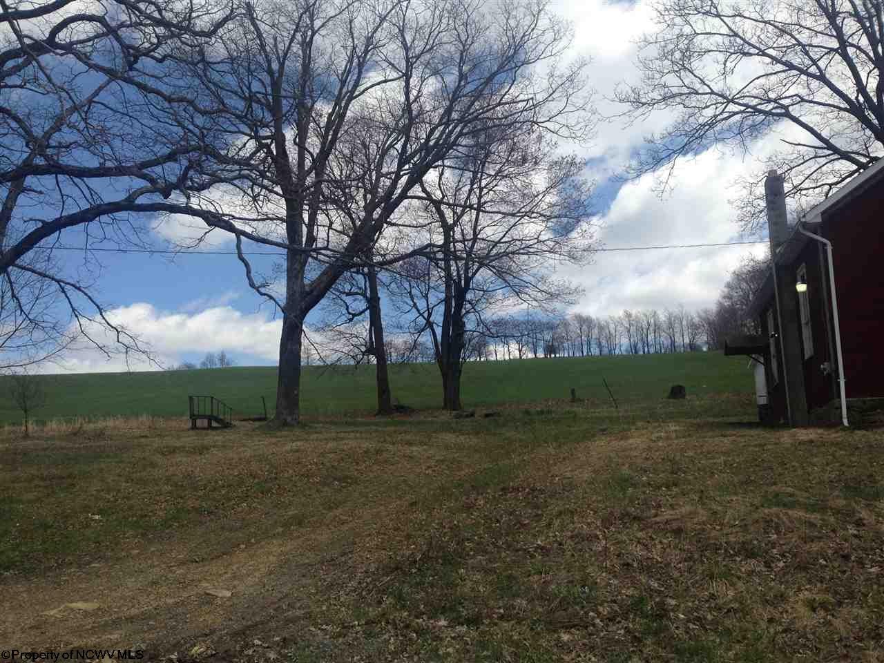 3398 Spruce Run Road Terra Alta, WV 26764 - Photo 7 of 19 Gallery Image 7