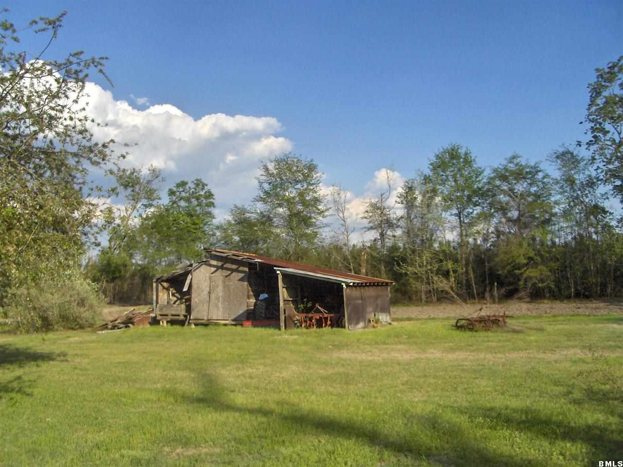 150 Bert Terry Road Brunson, SC 29911 - Photo 17 of 25 Additional Photo