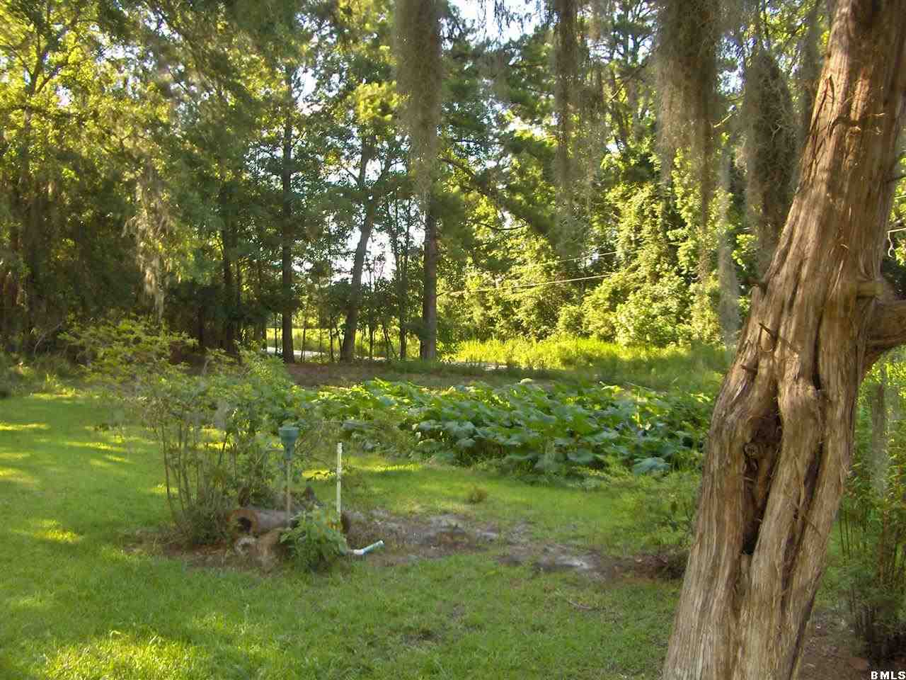 150 Bert Terry Road Brunson, SC 29911 - Photo 20 of 25 Additional Photo