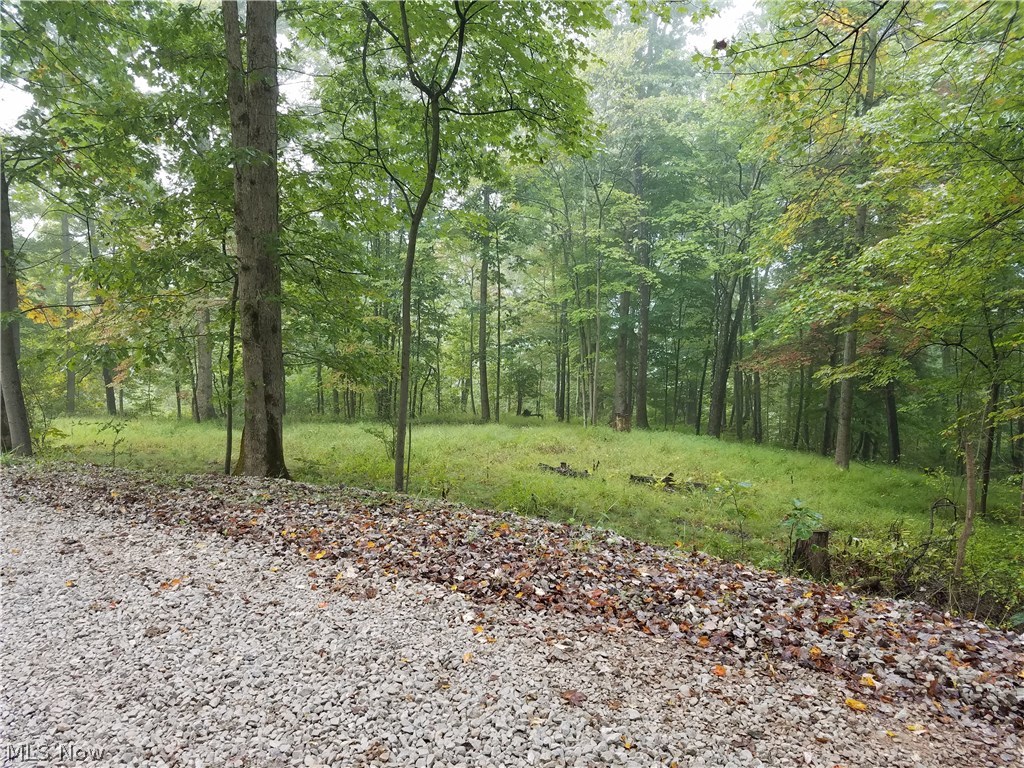 Campbell Road St. Marys, WV 26170 - Photo 4 of 6