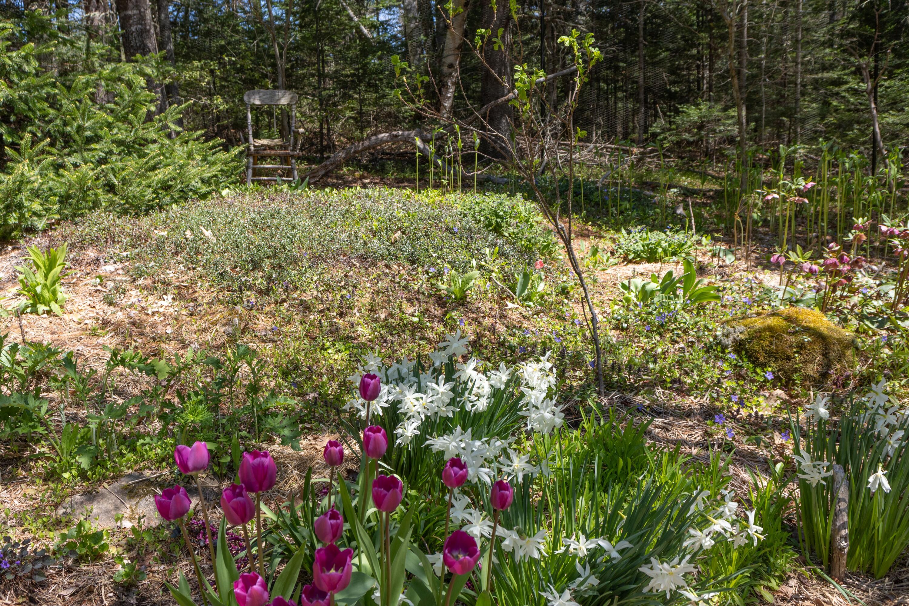 12 Bakers Point Road Steuben, ME 04680 - Photo 53 of 86 East garden.