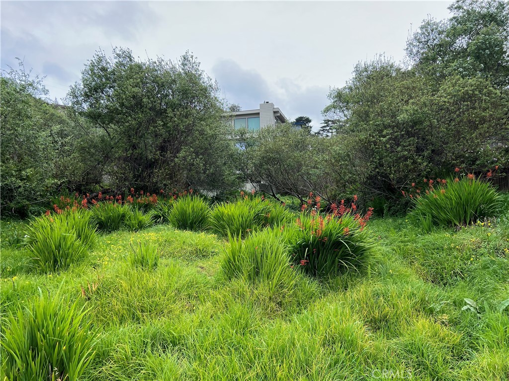 0 Madison Street Cambria, CA 93428 - Photo 3 of 13