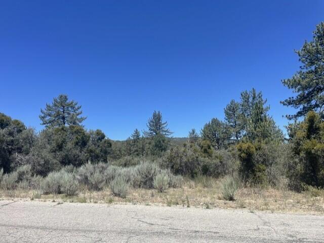 0 Devils Ladder Road Mountain Center, CA 92561 - Photo 4 of 10 Rothe lot.3