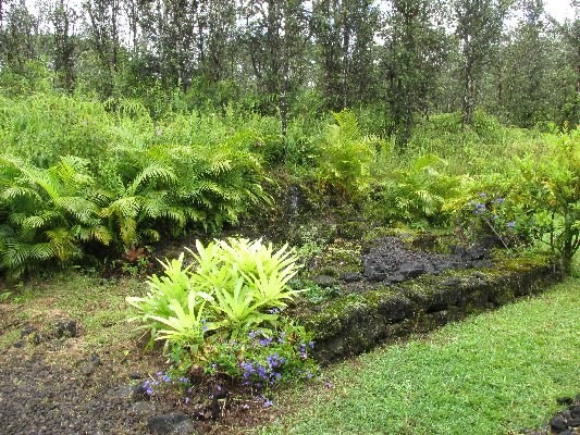 14-3378 Ginger Road Pahoa, HI 96778 - Photo 3 of 21 Gallery Image 3