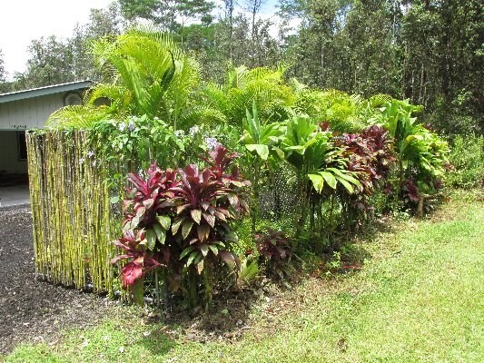 14-3378 Ginger Road Pahoa, HI 96778 - Photo 9 of 21 Gallery Image 9