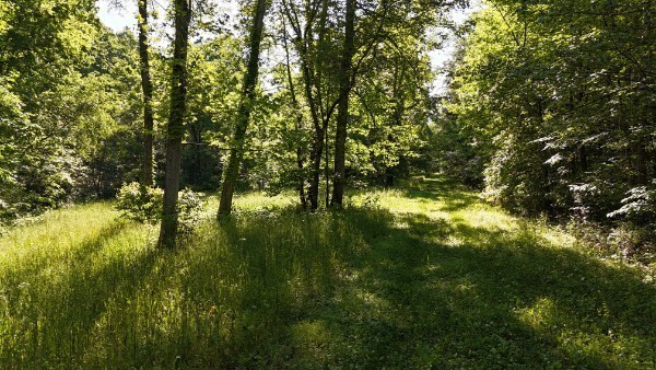 201 Post Road Waverly, TN 37185 - Photo 20 of 43