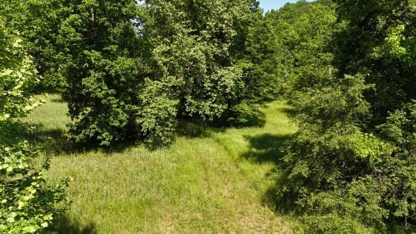 201 Post Road Waverly, TN 37185 - Photo 5 of 43 a view of a big yard