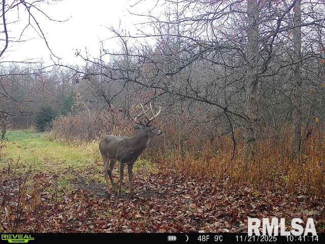 Rr Flower Creek Road Plymouth, IL 62367 - Photo 23 of 30