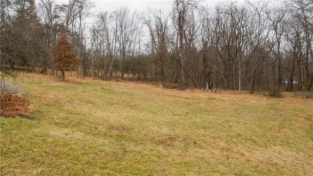 a view of empty space with trees