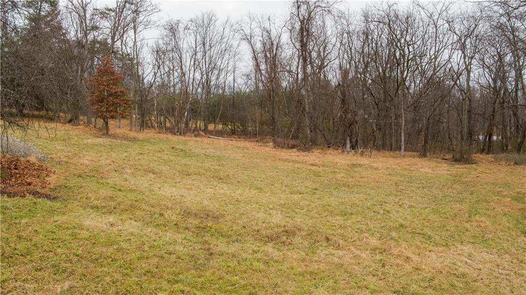 224 Indianola Road Cheswick, PA 15024 - Photo 11 of 17 a view of yard with trees