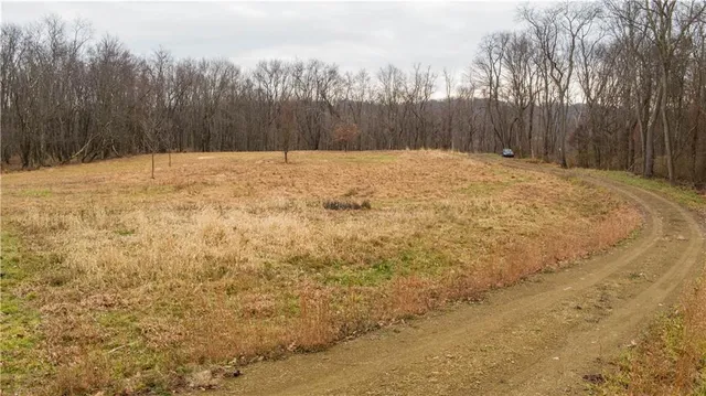 a view of a yard with trees